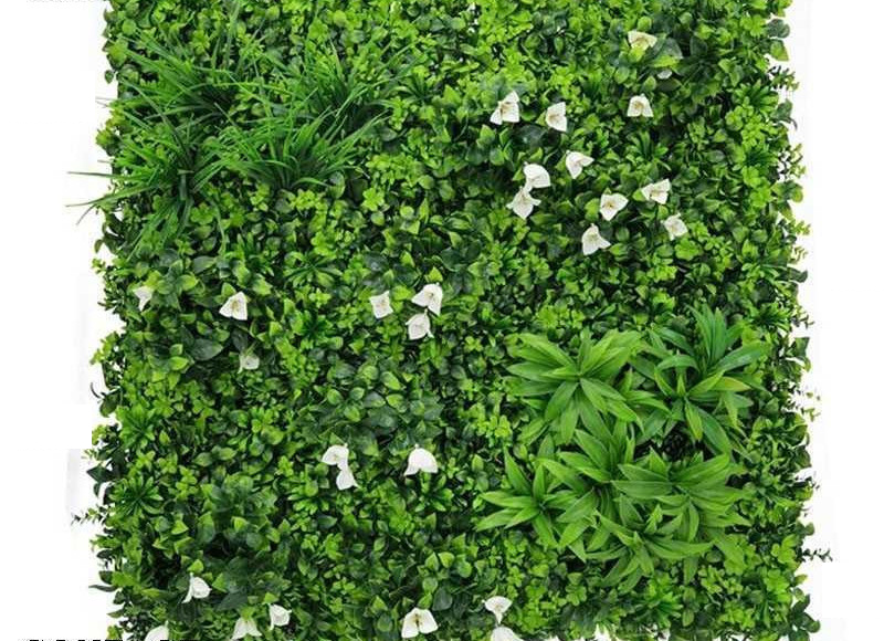 MUR VEGETAL TUNISIE – Image 2
