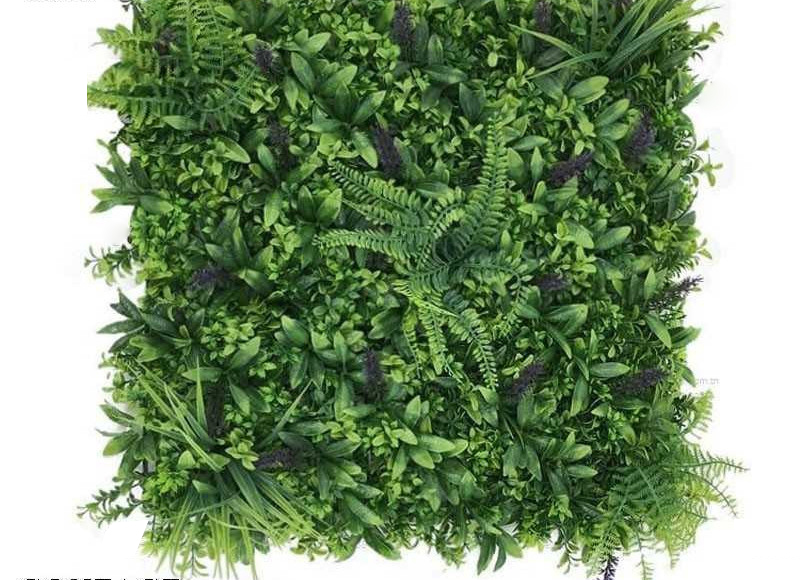 MUR VEGETAL TUNISIE – Image 3