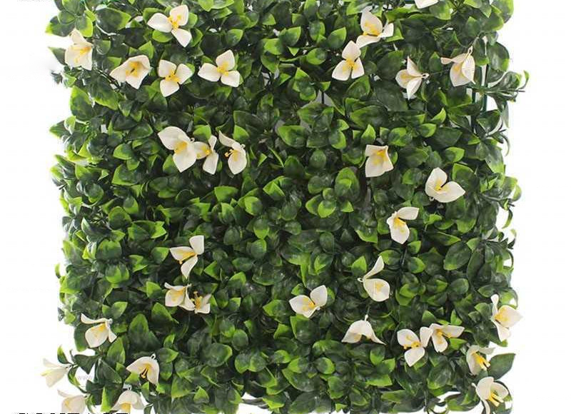 MUR VEGETAL TUNISIE – Image 4